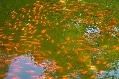 本周Fami通评分出炉 《人间地狱》获31分评价