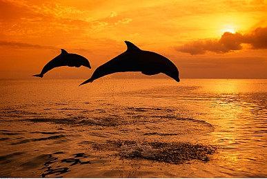 沙盒修真游戏《元炁》Steam页面正式上线，开启真实成仙觅道之旅